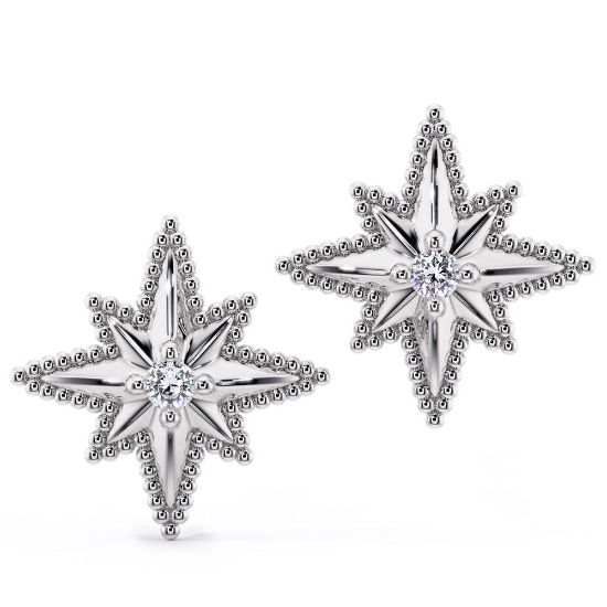 Picture of Earrings AC452